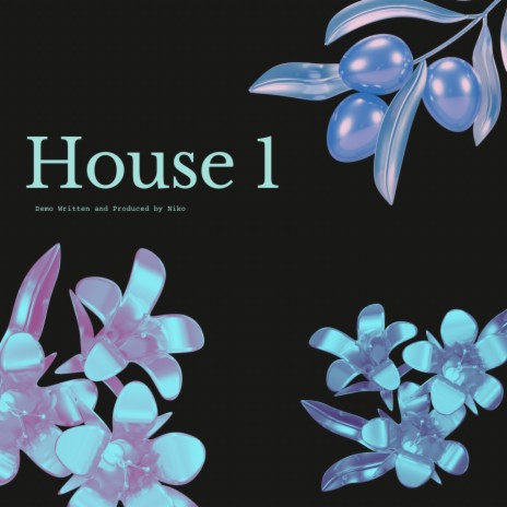 House 1 | Boomplay Music