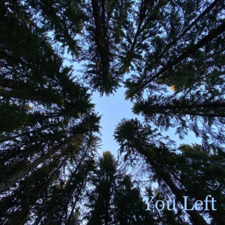 You Left | Boomplay Music