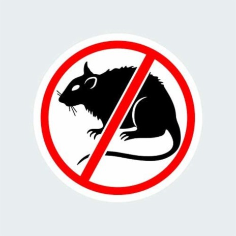 No Rats Allowed | Boomplay Music