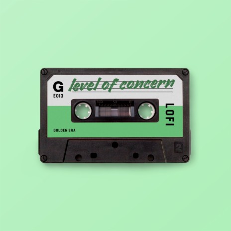 level of concern (lofi version) | Boomplay Music