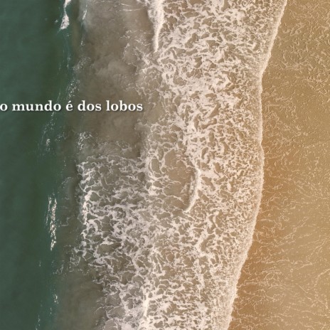 O mundo é dos lobos | Boomplay Music