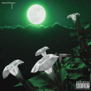 Moonflower (extended)