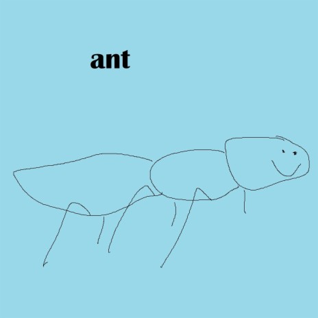 Ant