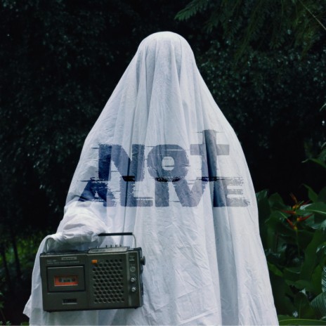 Not Alive | Boomplay Music