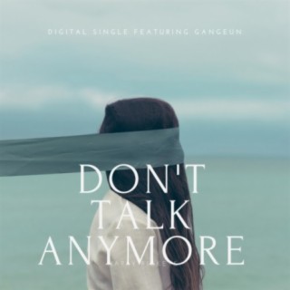 Don't Talk Anymore