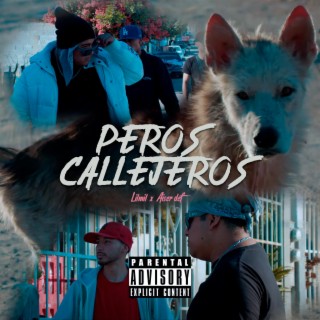 Perros Callejeros