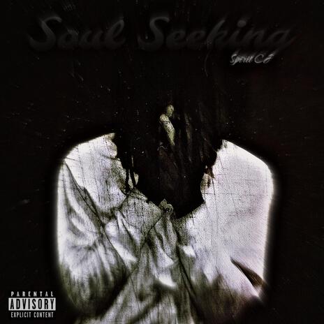 Soul Seeking | Boomplay Music