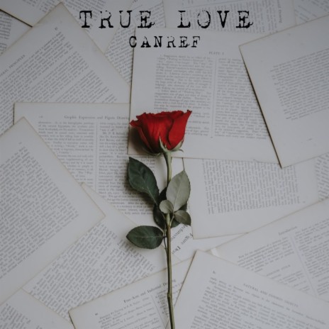 TRUE LOVE | Boomplay Music
