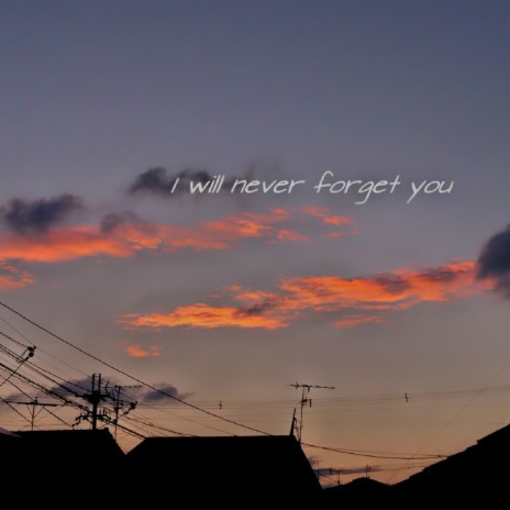 I will never forget you | Boomplay Music