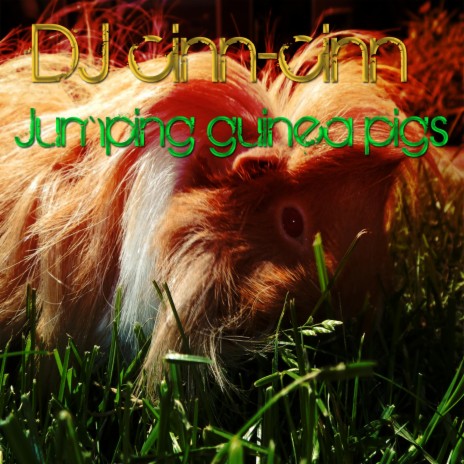 Jumping guinea pigs | Boomplay Music