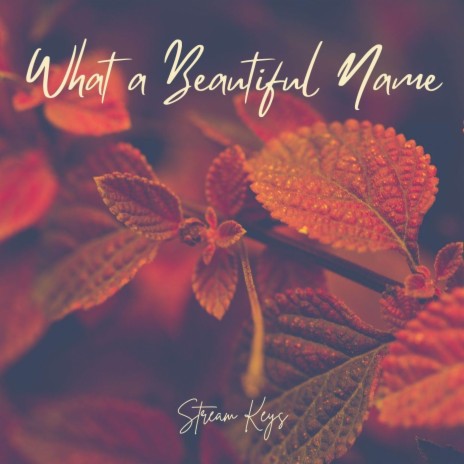 What a Beautiful Name | Boomplay Music