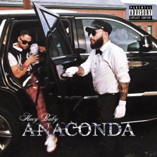 Anaconda lyrics | Boomplay Music