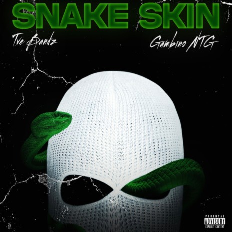 Snake Skin ft. Gambino NTG | Boomplay Music