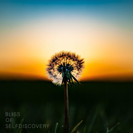 Bliss of Selfdiscovery