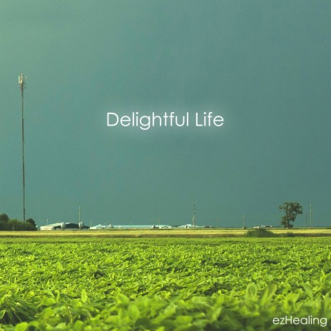 Delightful Life | Boomplay Music