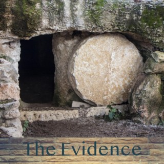 The Evidence