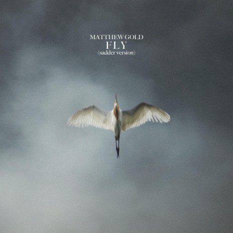 Fly (sadder version) | Boomplay Music