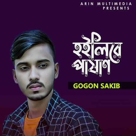 Hoilire Pashan | Boomplay Music