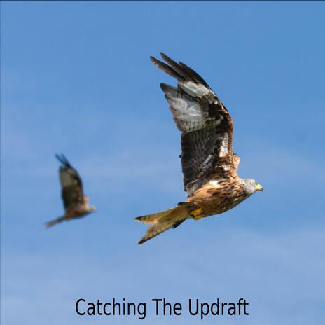 Catching The Updraft