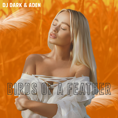 BIRDS OF A FEATHER ft. ADEN | Boomplay Music