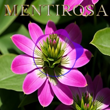 Mentirosa | Boomplay Music