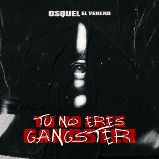 Tu No Eres Ganster