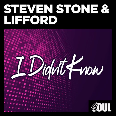 I Didn't Know (Radio Mix) ft. Lifford Shillingford | Boomplay Music