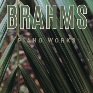 Brahms - Piano Works