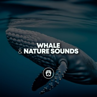 Whale & Nature Sounds