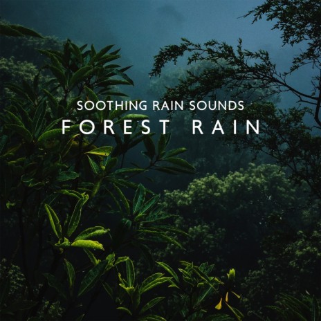 Rain to Fall Asleep To | Boomplay Music