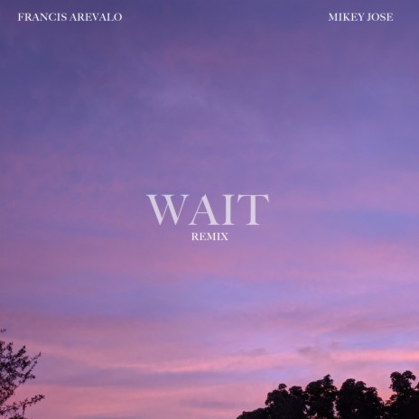 Wait (Remix) ft. Mikey Jose | Boomplay Music