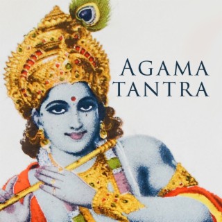 Agama tantra: Frigörande av energi, Kvinnans gudomliga sexualitet, Tantra i hinduismen