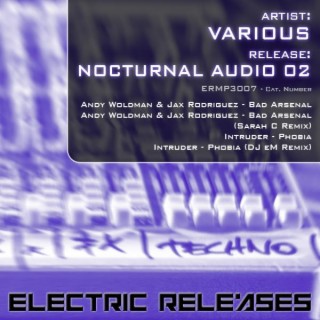 Nocturnal Audio 02