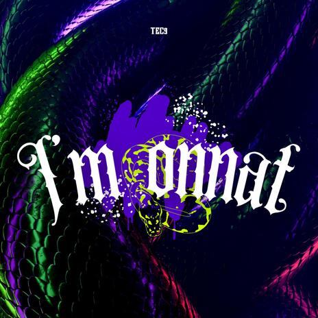 Im Onnat ft. darionmix