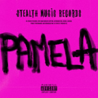 PAMELA lyrics | Boomplay Music