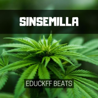 Sinsemilla