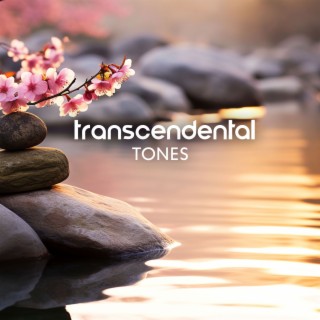 Transcendental Tones: 1 Hour Meditative Music for a Deep Sense of Relaxation, Stress Relief, and Mental Clarity