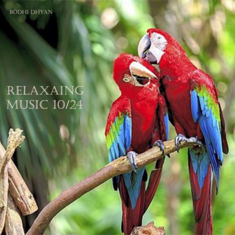 Relaxing Music 10/24