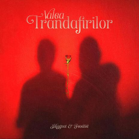 Valea Trandafirilor ft. Feoctist | Boomplay Music