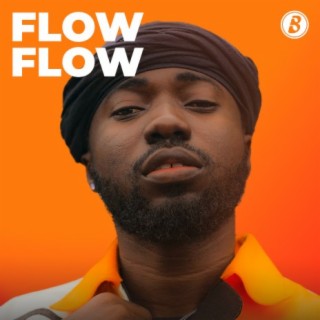 Flow Flow