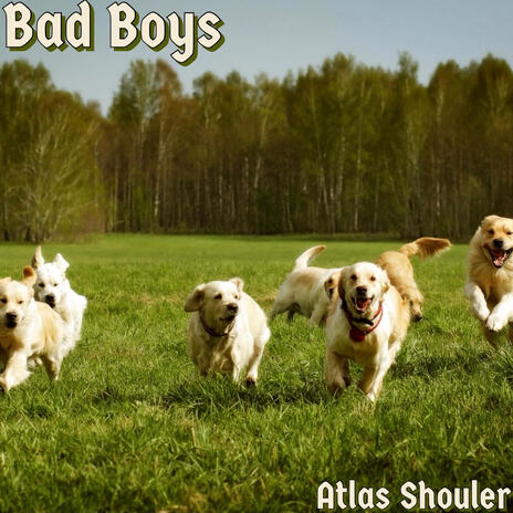 Bad Boys