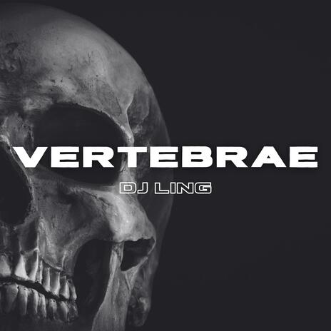 Vertebrae | Boomplay Music