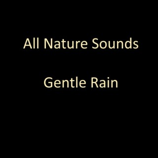 Gentle Rain