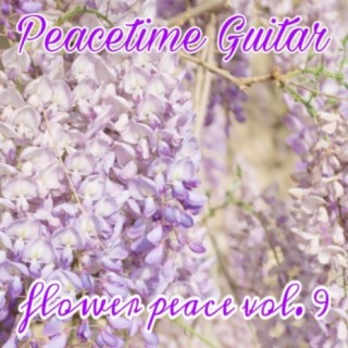 Peacetime Guitar