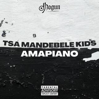 TSA Mandebele Kids Amapiano