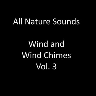 Wind and Wind Chimes, Vol. 3