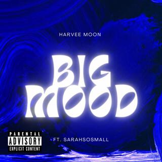 Big Mood (Single) ft. SarahSoSmall lyrics | Boomplay Music