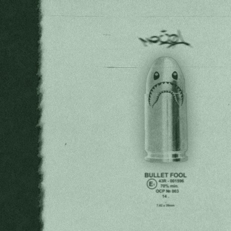 Bullet Fool | Boomplay Music