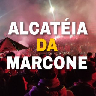 ALCATÉIA DA MARCONE