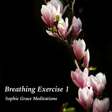 Breathing Exercise 1 | Boomplay Music